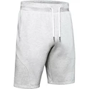 Herren Shorts Under Armour