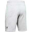 Herren Shorts Under Armour