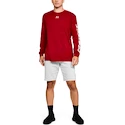 Herren Shorts Under Armour