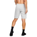 Herren Shorts Under Armour