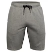 Herren Shorts Under Armour