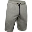 Herren Shorts Under Armour