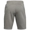 Herren Shorts Under Armour