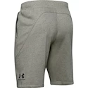 Herren Shorts Under Armour