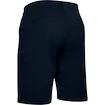 Herren Shorts Under Armour