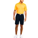 Herren Shorts Under Armour