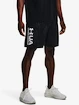 Herren Shorts Under Armour