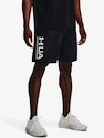 Herren Shorts Under Armour