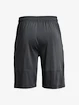 Herren Shorts Under Armour  Raid 2.0 Shorts-GRY