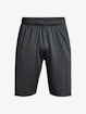 Herren Shorts Under Armour  Raid 2.0 Shorts-GRY