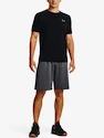 Herren Shorts Under Armour  Raid 2.0 Shorts-GRY