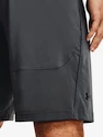 Herren Shorts Under Armour  Raid 2.0 Shorts-GRY