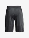 Herren Shorts Under Armour  Raid 2.0 Shorts-GRY