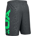 Herren Shorts Under Armour Vanish Woven Emboss