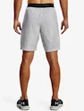 Herren Shorts Under Armour  Vanish Woven Snap Sts-GRY