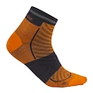 Herren Socken Icebreaker Merino Run+ Ultralight Mini Ray/Graphite  L