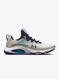 Herren Sportschuhe Under Armour