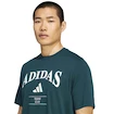 Herren T-Shirt adidas  Heritage Graphic Tee Aurora Ivy