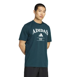 Herren T-Shirt adidas  Heritage Graphic Tee Aurora Ivy