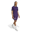 Herren T-Shirt adidas  Tennis Pro Climacool+ FreeLift T-Shirt Aurora Plum