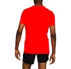 Herren T-Shirt Asics Silver SS Top Red