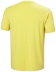 Herren T-Shirt Helly Hansen  Skog Recycled Graphic T-Shirt Endive