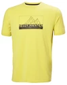Herren T-Shirt Helly Hansen  Skog Recycled Graphic T-Shirt Endive