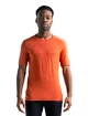 Herren-T-Shirt Icebreaker 200 Oasis SS Crewe