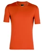 Herren T-Shirt Icebreaker  200 Oasis SS Crewe