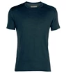 Herren-T-Shirt Icebreaker Amplify SS Crewe