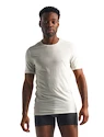 Herren T-Shirt Icebreaker  Anatomica SS Crewe bílé XL