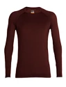 Herren T-Shirt Icebreaker  M 200 Zone Seamless LS Crewe ESPRESSO