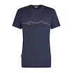 Herren T-Shirt Icebreaker Merino 150 Tech Lite SS T Icebreaker Graphite XL