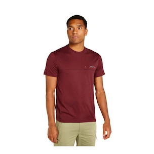 Herren T-Shirt Icebreaker Merino 150 Tech Lite SS T Sing Li Cmp Port XL