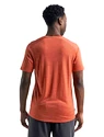 Herren-T-Shirt Icebreaker Sphere SS Crewe