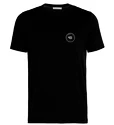 Herren-T-Shirt Icebreaker Tech Lite SS Crewe Nomad Forever