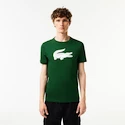 Herren T-Shirt Lacoste  Big Logo Core Performance T-Shirt Green/White