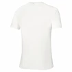 Herren T-Shirt Mizuno  Frontier Shadow Polo M White
