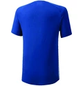 Herren T-Shirt Mizuno  Shadow Polo Blue