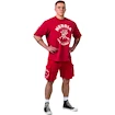 Herren T-Shirt Nebbia NEBBIA x OLYMPIA Washed Oversized T-Shirt GOLDEN AGE 790 red