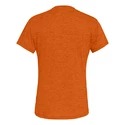 Herren T-Shirt Salewa  Puez melange dry Autumnal