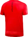 Herren T-Shirt Salomon
