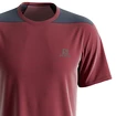 Herren T-Shirt Salomon  Outline SS Tee Cabernet