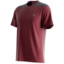 Herren T-Shirt Salomon  Outline SS Tee Cabernet