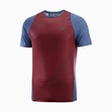 Herren T-Shirt Salomon Sense Aero SS Tee Cabernet