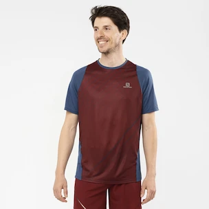 Herren T-Shirt Salomon Sense Aero SS Tee Cabernet