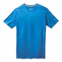 Herren T-Shirt Smartwool   M Merino 150 Baselayer SS BXD