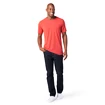 Herren T-Shirt Smartwool  Merino 150 Plant-Based Dye Earth Red Wash