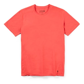 Herren T-Shirt Smartwool Merino 150 Plant-Based Dye Earth Red Wash