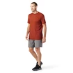 Herren T-Shirt Smartwool  Merino Sport 150 Tech Tee Picante